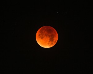 Lunar Eclipse above Blackheath
