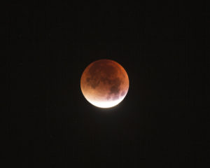 Partial Lunar Eclipse