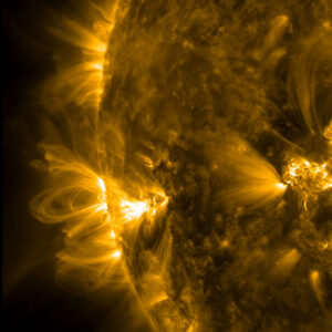 Coronal loops